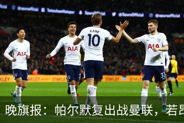 晚旗报：帕尔默复出战曼联，若昂-佩德罗仍要伤缺数周